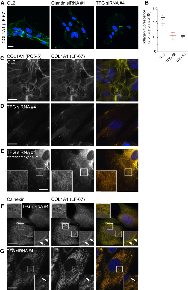 Figure 6