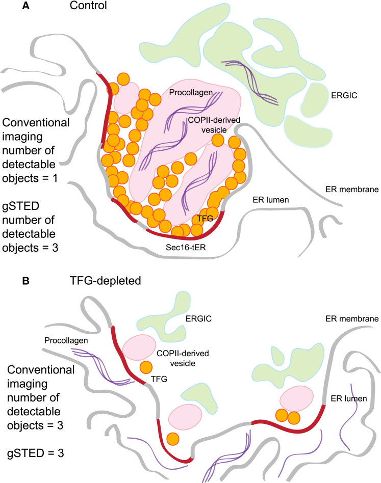 Figure 7