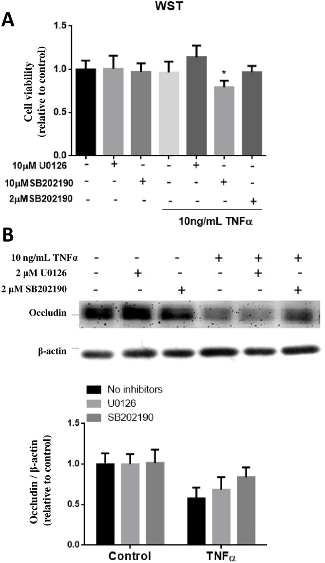 Fig 8