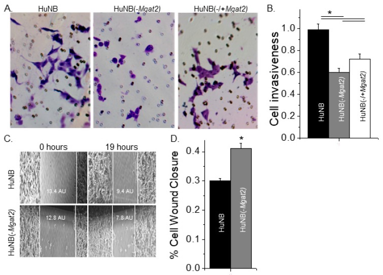 Figure 6