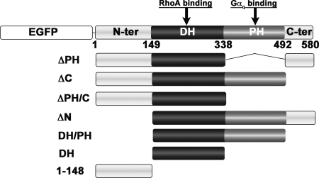 FIGURE 1.