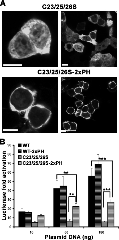 FIGURE 6.