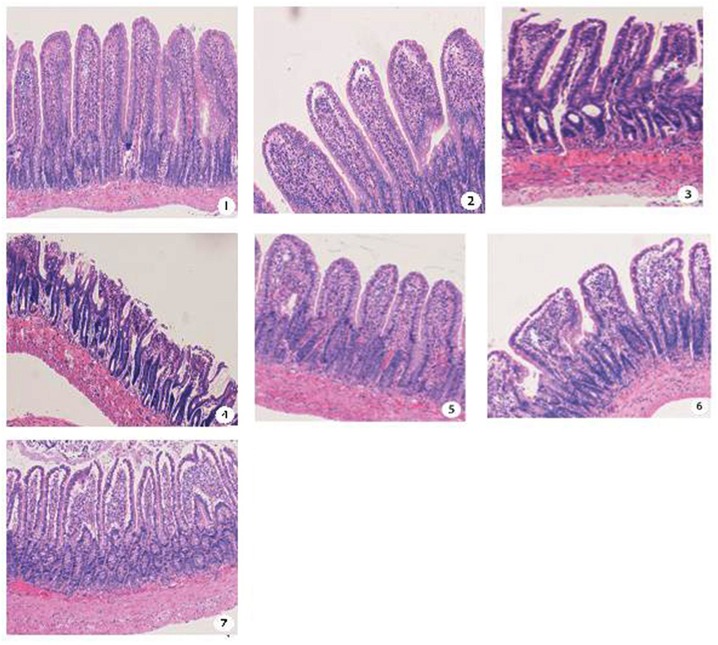 Fig 5