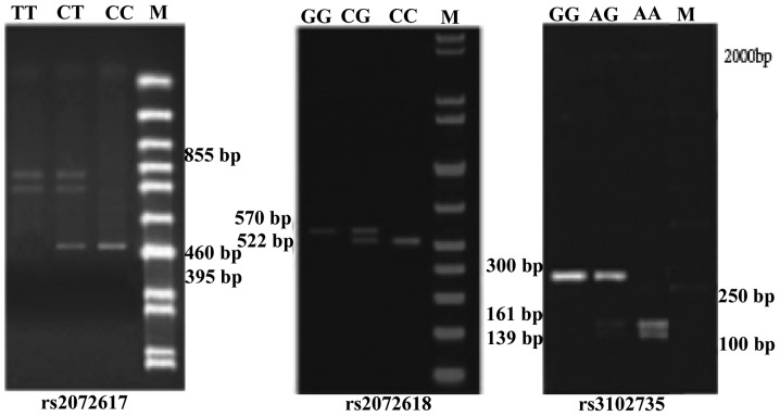 Figure 3.