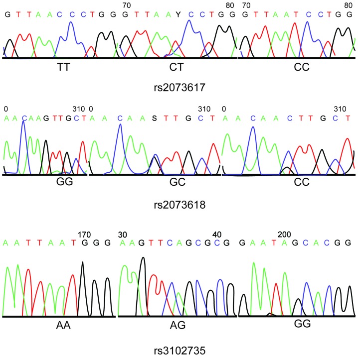 Figure 2.