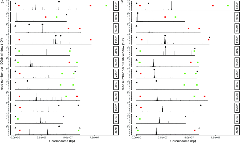 Figure 3: