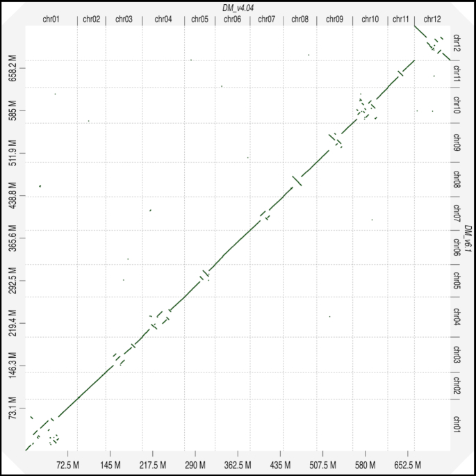 Figure 5: