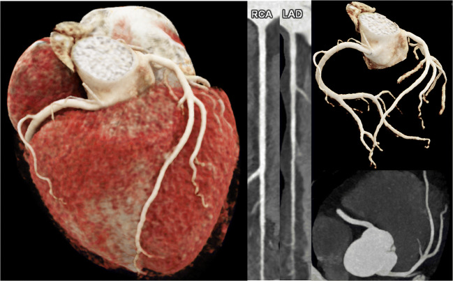 Fig. 7