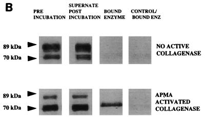 FIG. 8