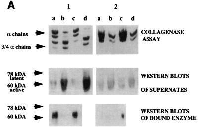 FIG. 8