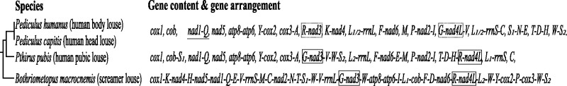 Fig. 6.—