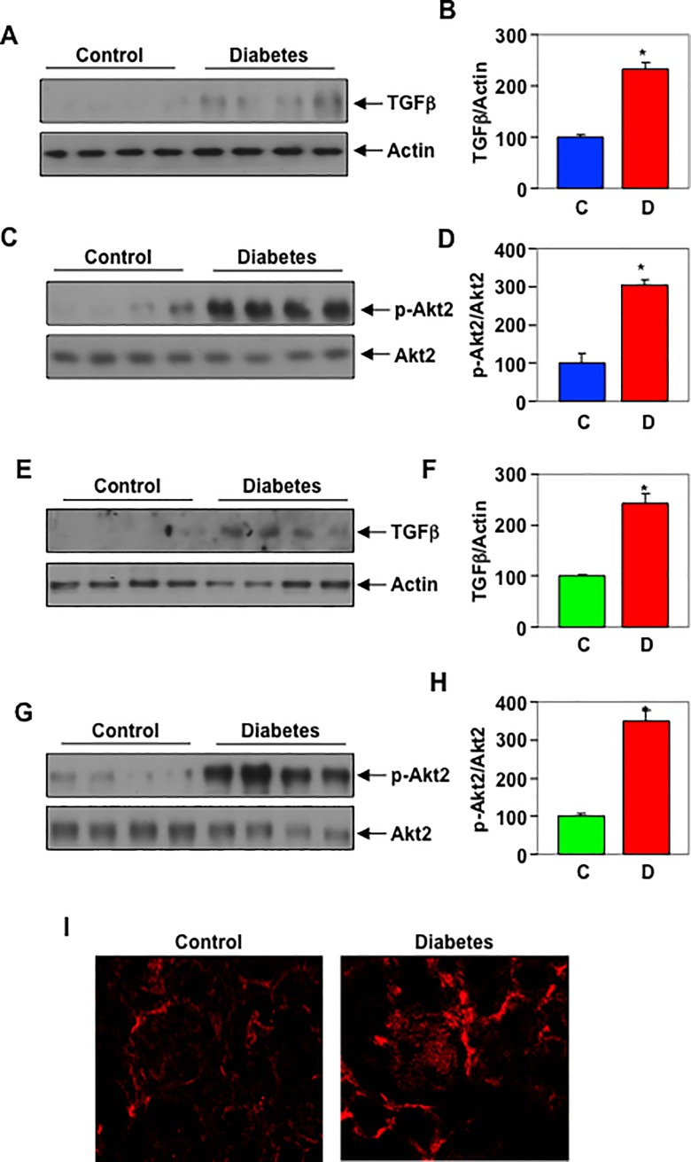 Fig 10