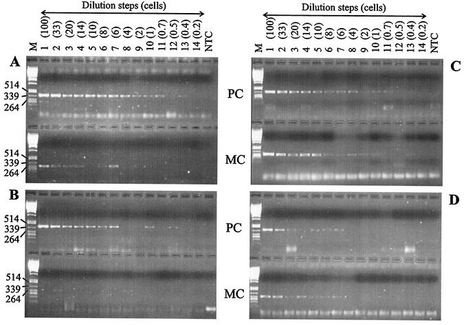 FIG. 4.