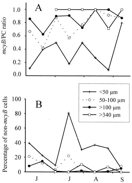 FIG. 5.