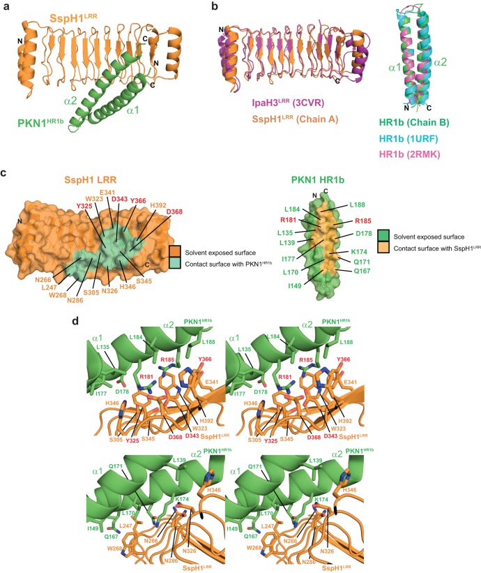 FIG 2