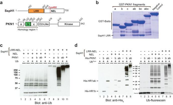 FIG 1