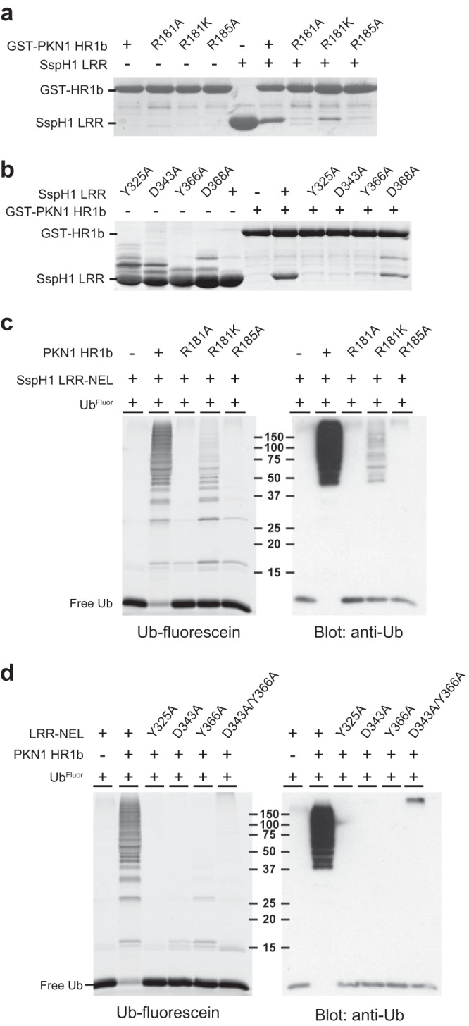 FIG 3