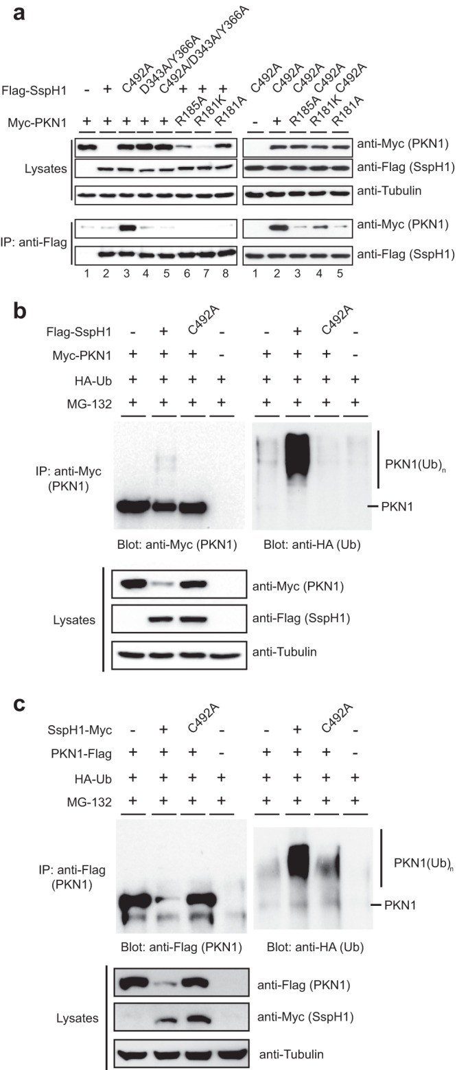 FIG 5