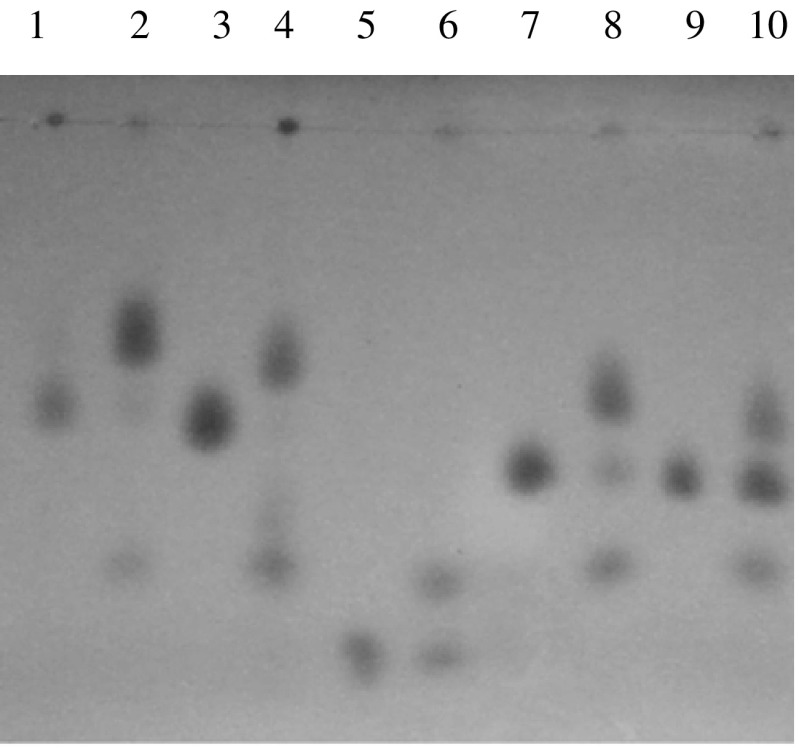 Fig. 5