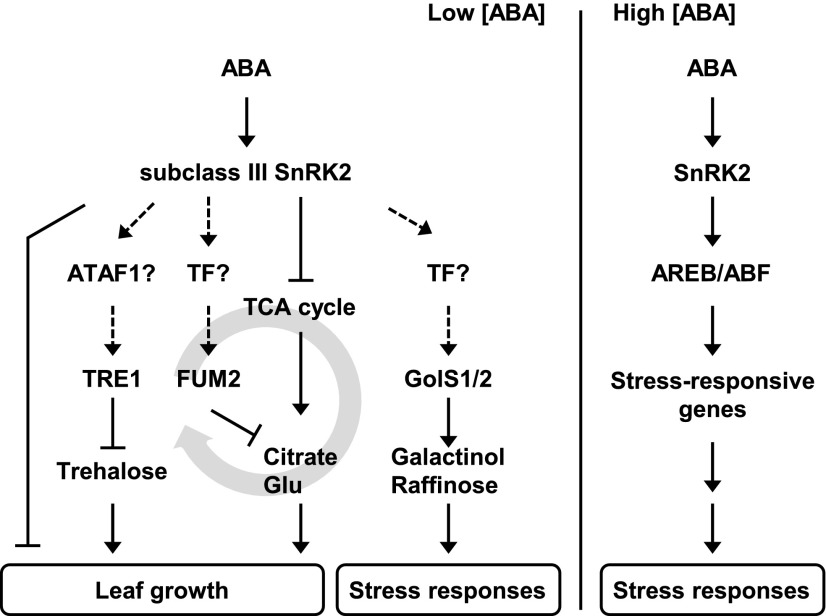 Figure 9.