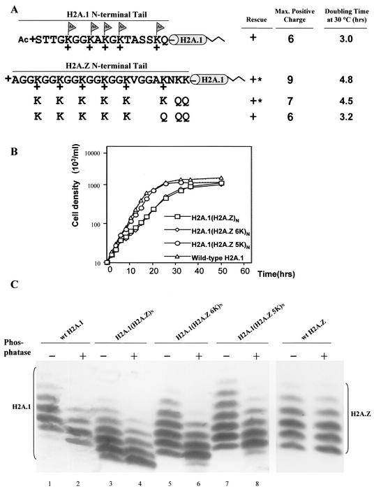 FIG. 5.