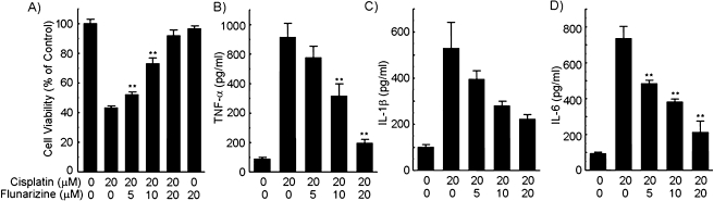 FIG. 1