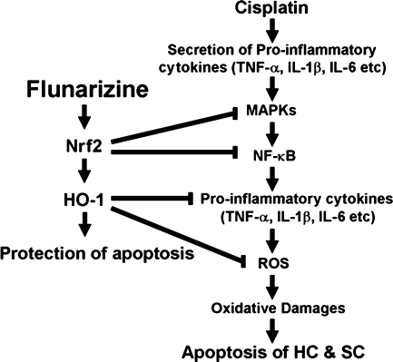 FIG. 12