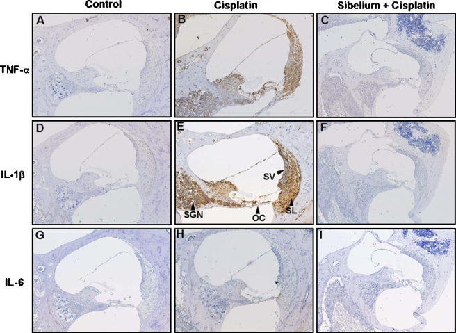 FIG. 10