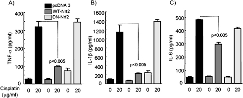 FIG. 3