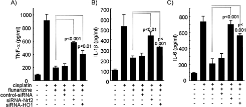 FIG. 6