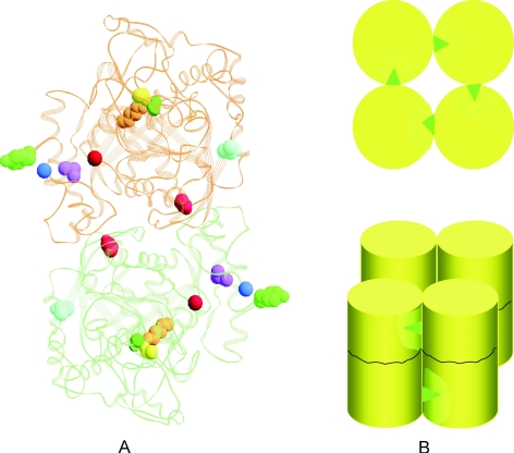 Figure 5.