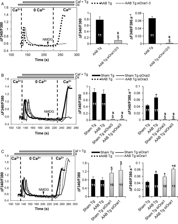 Figure 3