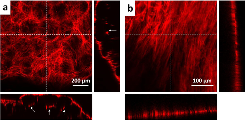 Figure 6: