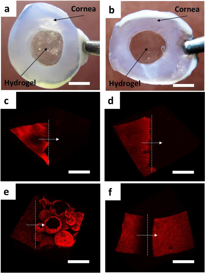 Figure 7: