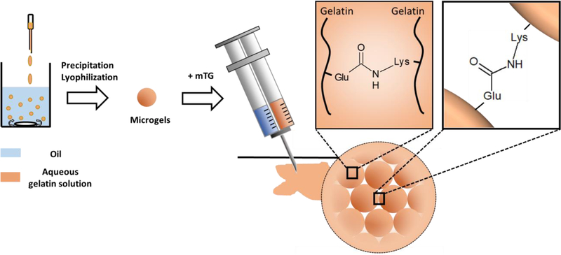 Figure 1: