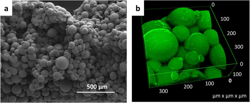 Figure 3: