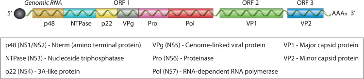 FIG 2