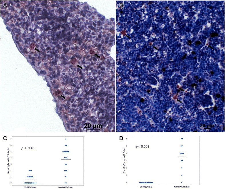 Figure 6