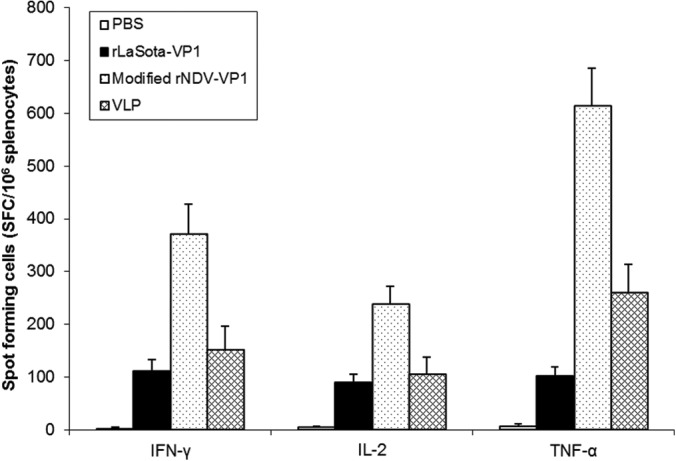 FIG 7