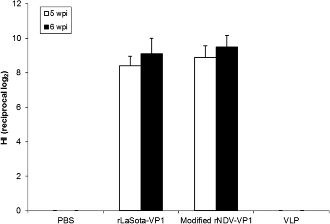 FIG 5