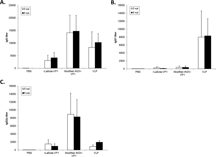 FIG 6