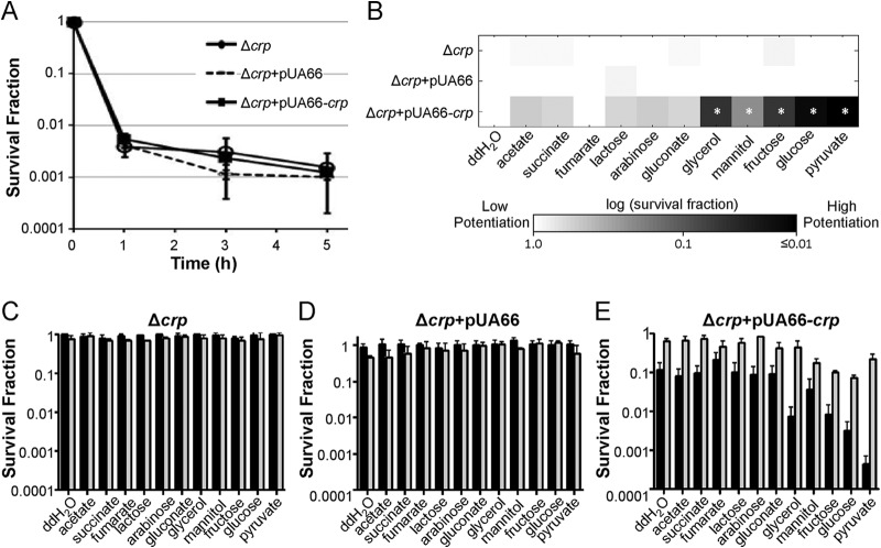 FIG 3