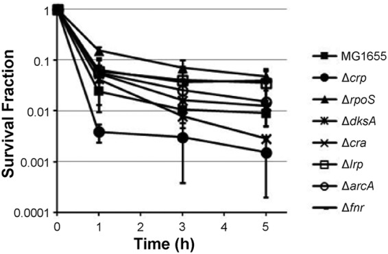 FIG 1