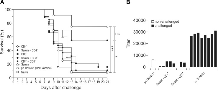 Fig 10