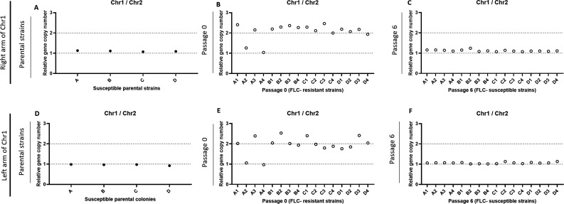 Fig 10