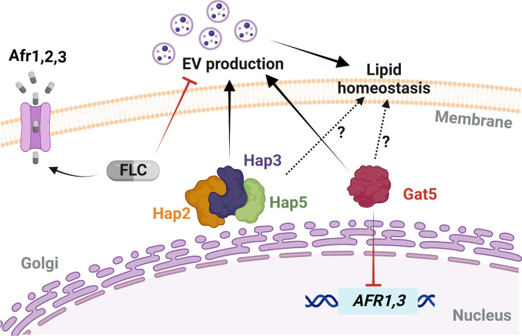 Fig 13