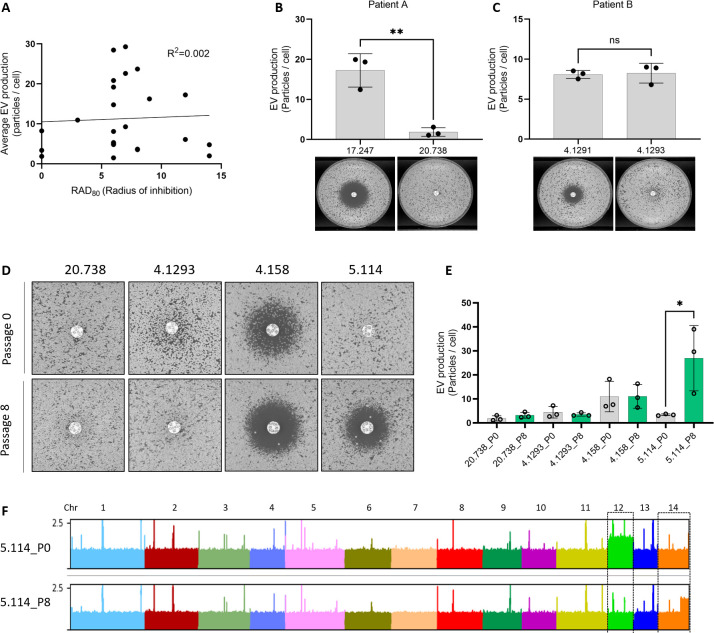 Fig 12