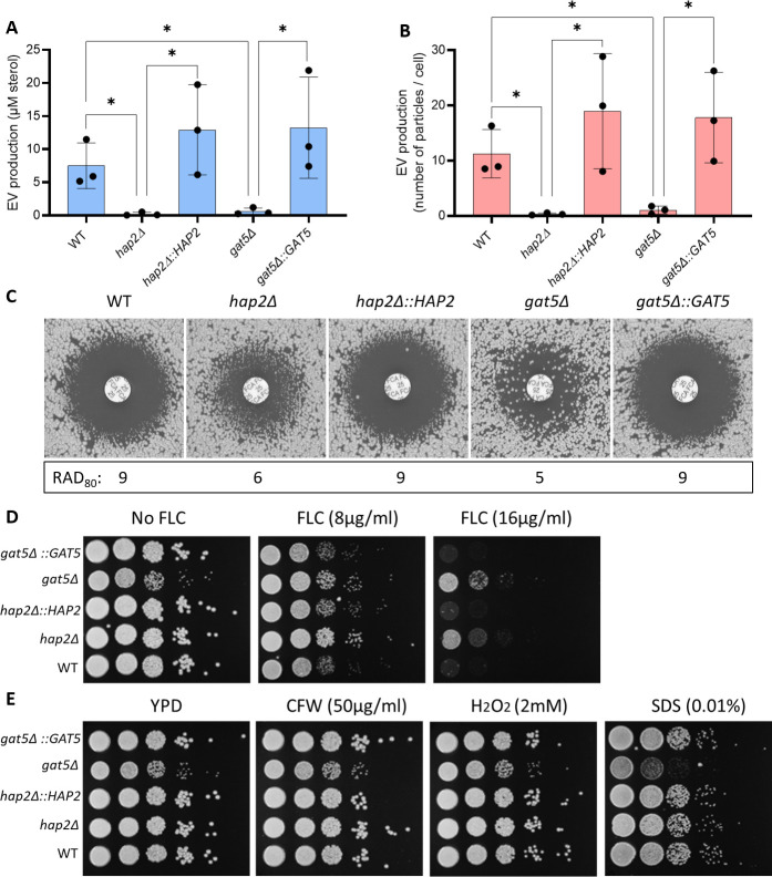 Fig 6