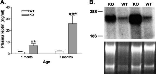 FIG. 5.