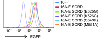 Fig. S5.
